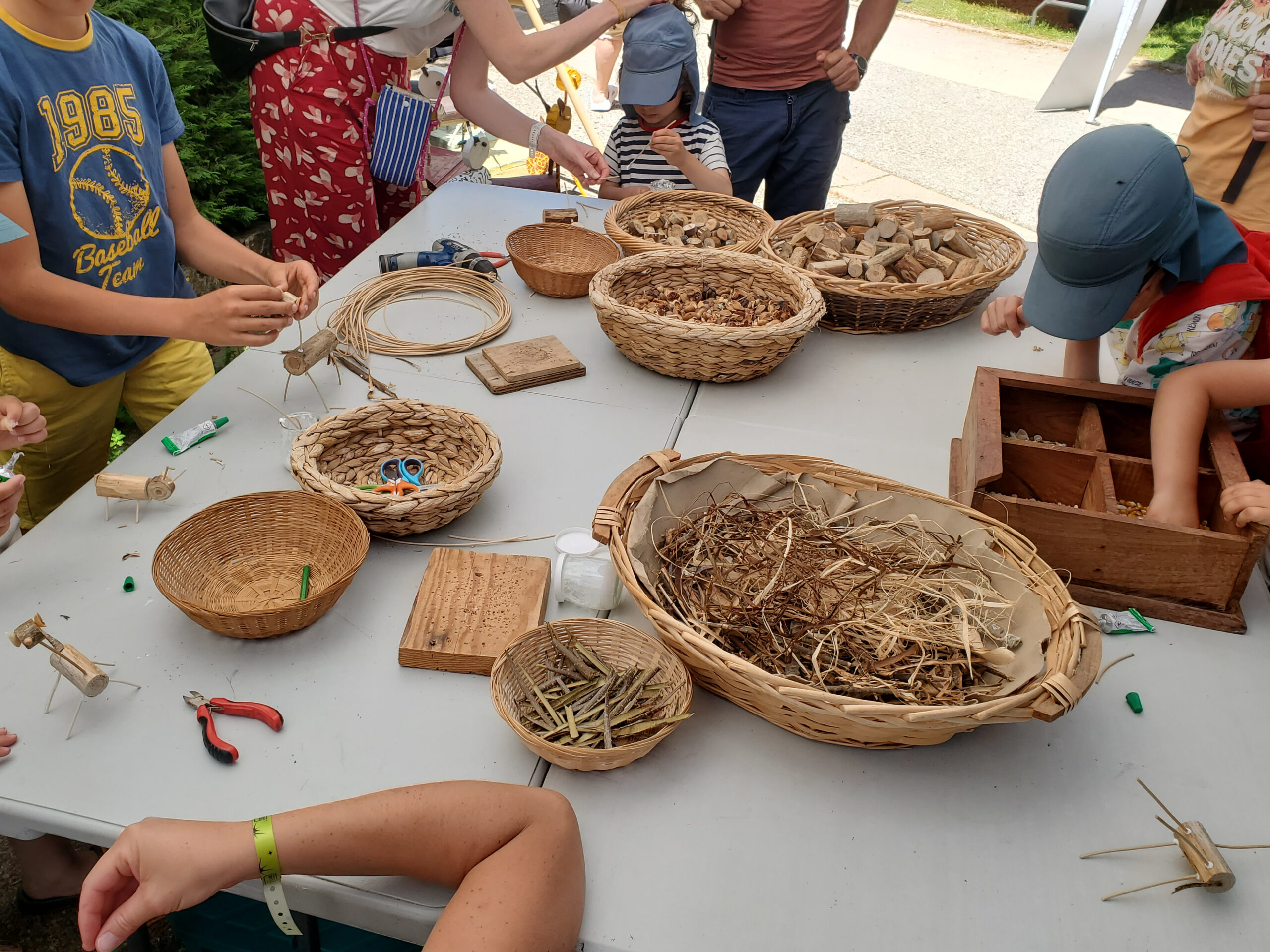 Des zèbres et des girafes à la fête du sel de Léoncel