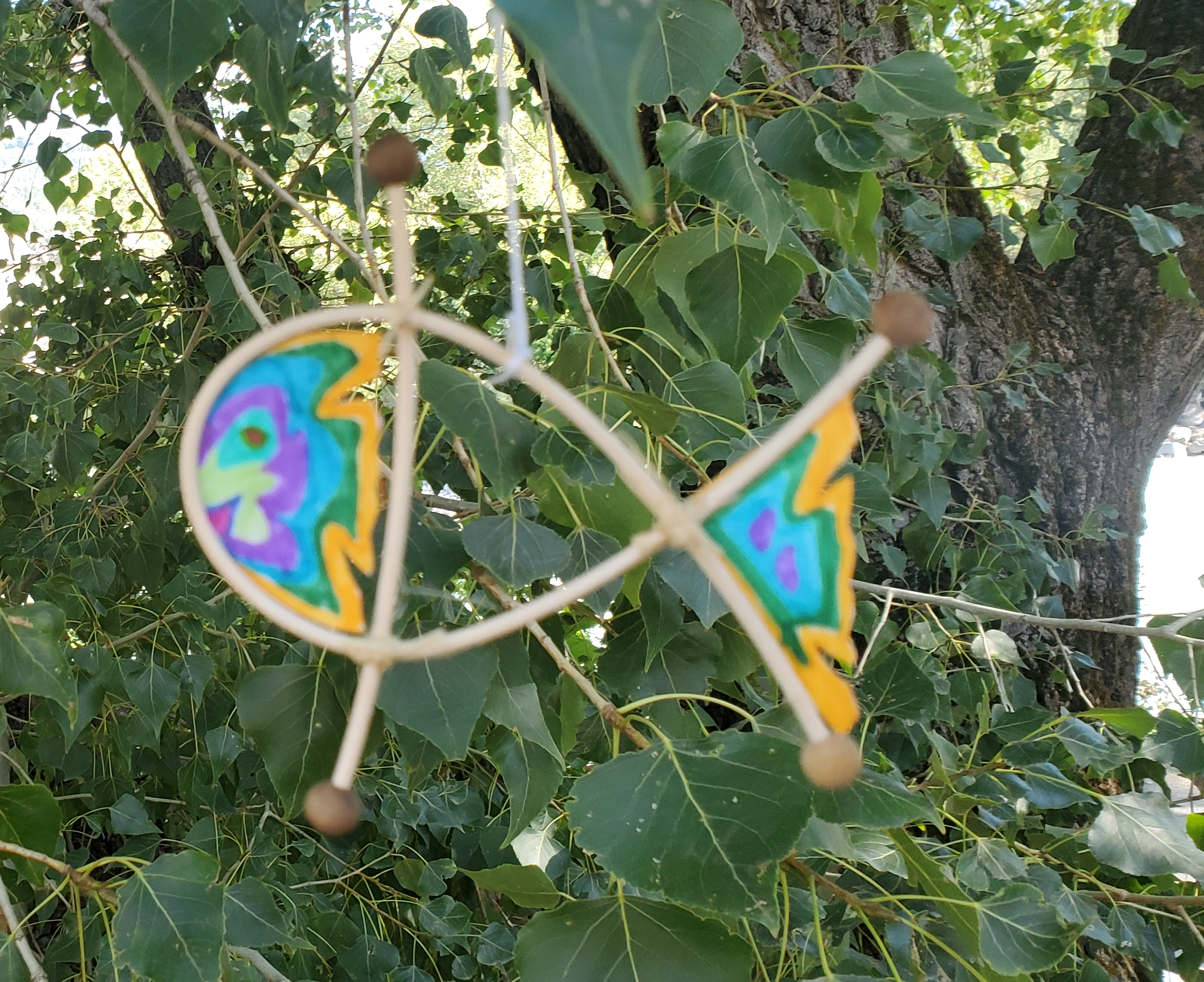 Des poissons volants à la foire bio Génépi d&rsquo;Embrun